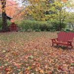 The yard surrounding the historic home along the millrace is extraordinarily leafy in spring, summer, and fall (guests are not asked to rake leaves, of course, but simply to admire the colors!)